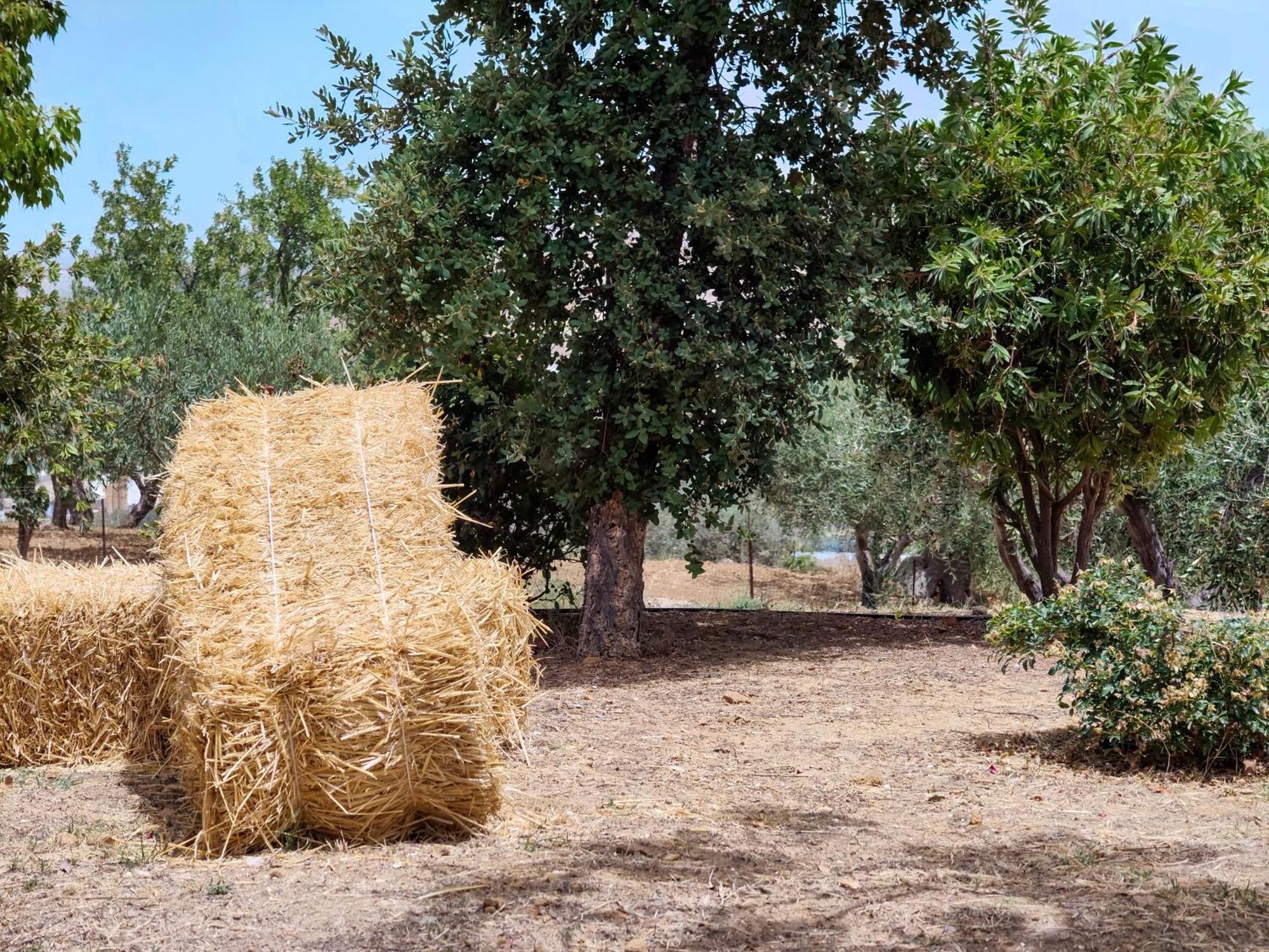 Colle Dei Rustici Ospitalita In Sicilia Holiday home Villaggio Mose (Sicily)