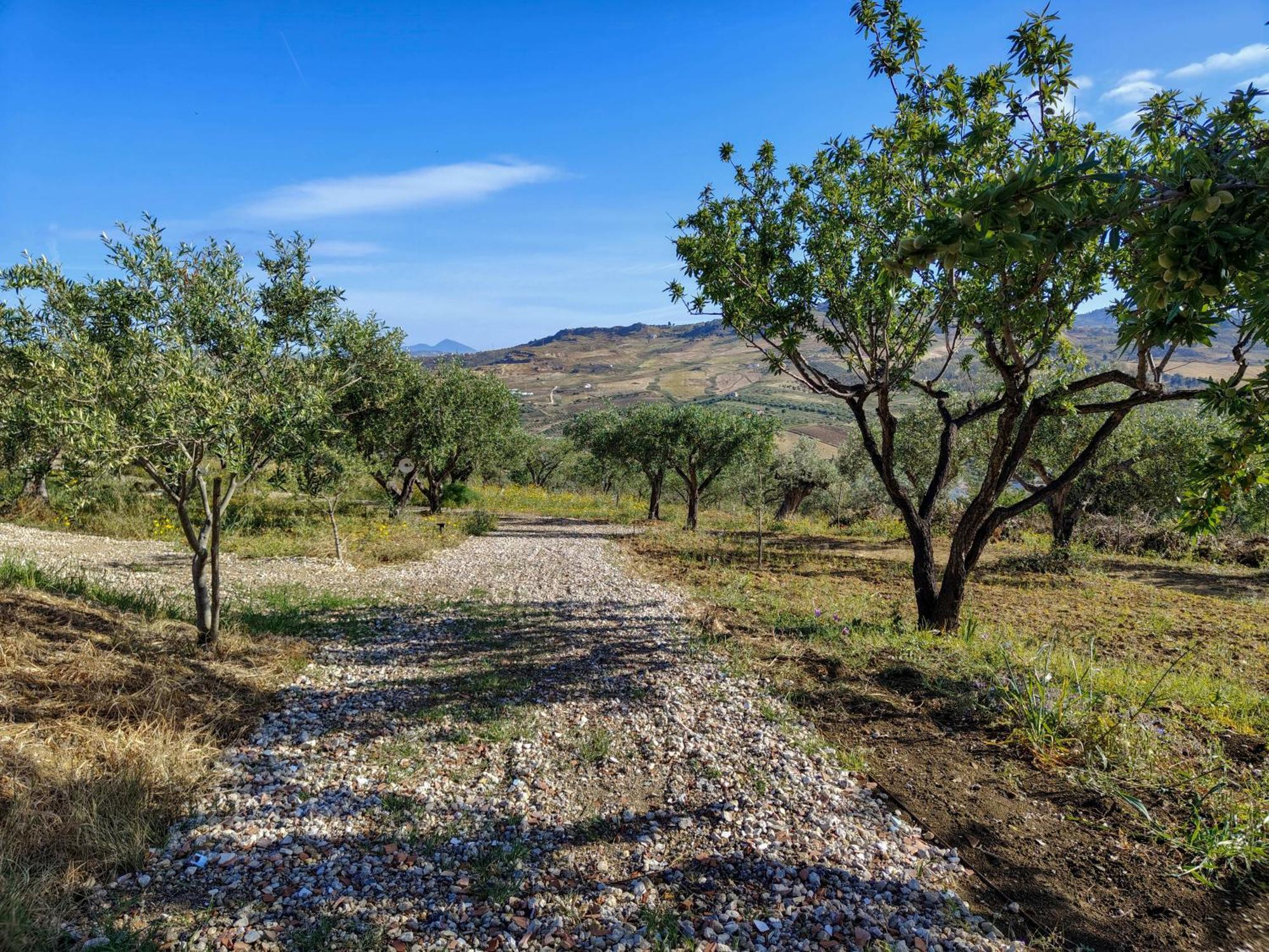 Colle Dei Rustici Ospitalita In Sicilia